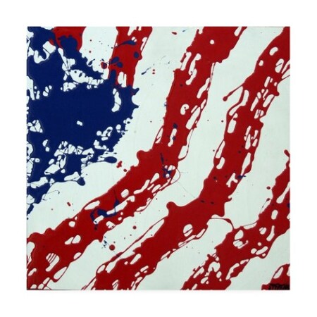 Roderick Stevens 'American Flag Splash' Canvas Art,18x18